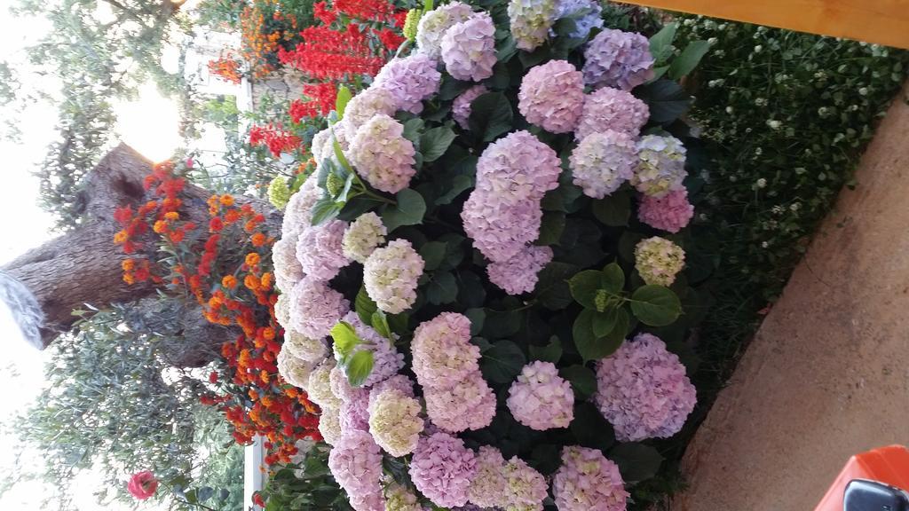Season Inn Dhërmi エクステリア 写真